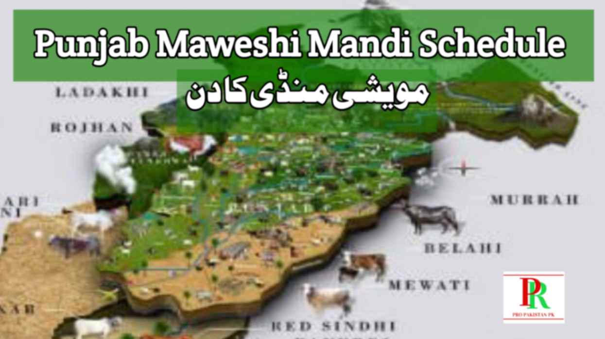 Punjab Maweshi Mandi Schedule