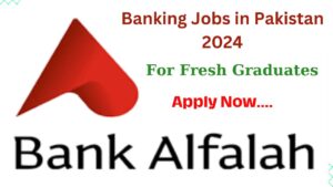 Latest Bank Alfalah Jobs 2024 for Fresh Graduates